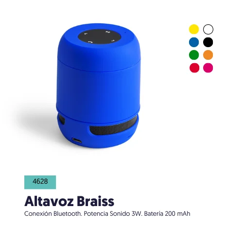 Altavoz Braiss